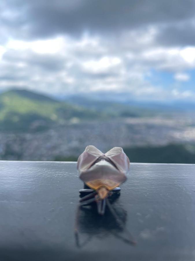 Hotel Pokharaeye エクステリア 写真
